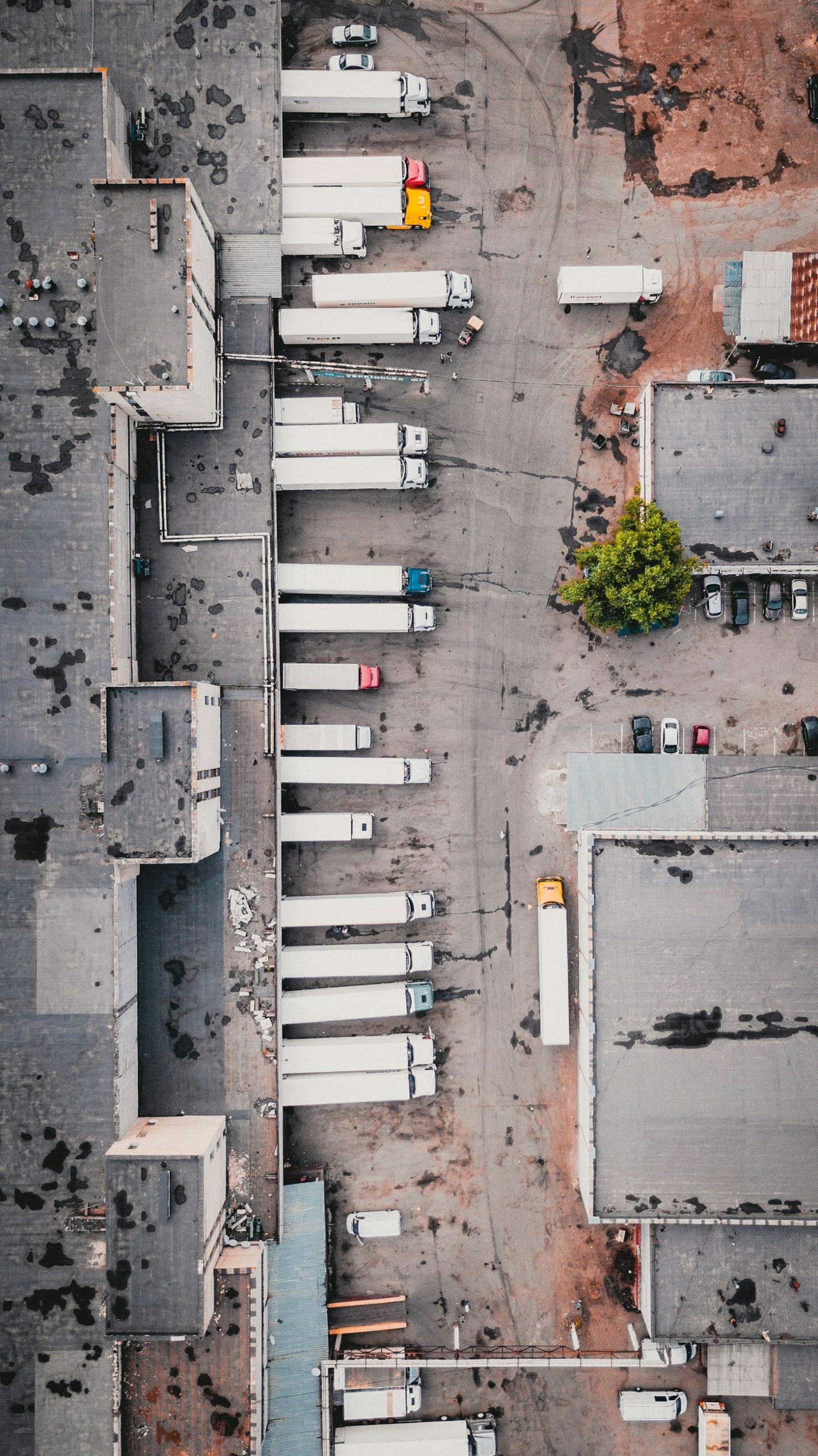 The Ultimate Guide to Navigating FMCSA Audits